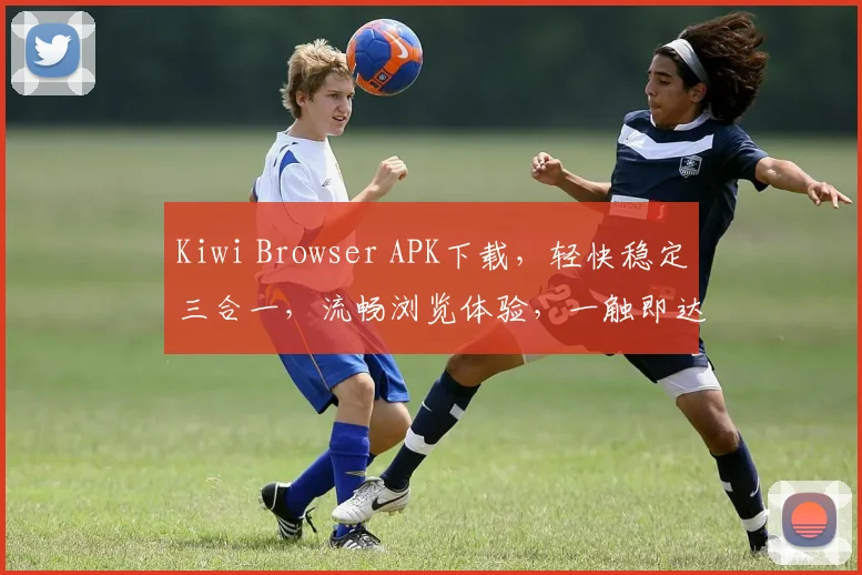 Kiwi Browser APK下载，轻快稳定三合一，流畅浏览体验，一触即达