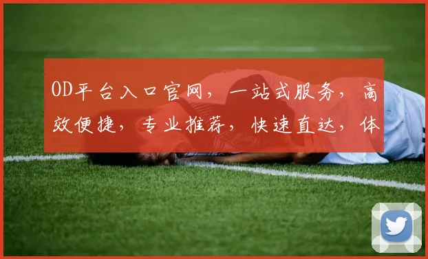 OD平台入口官网，一站式服务，高效便捷，专业推荐，快速直达，体验非凡