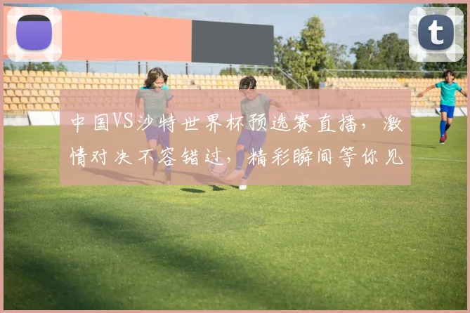 中国VS沙特世界杯预选赛直播，激情对决不容错过，精彩瞬间等你见证，锁定赛事频道