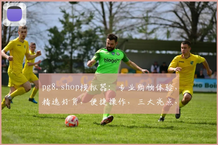 pg8.shop模拟器：专业购物体验，精选好货，便捷操作，三大亮点，值得尝试