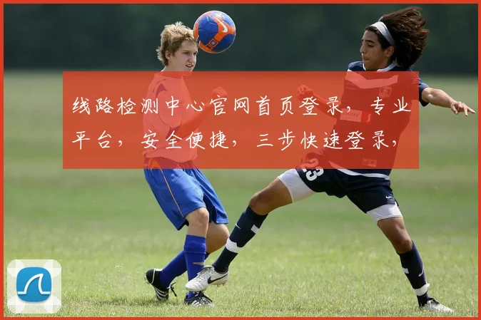 线路检测中心官网首页登录，专业平台，安全便捷，三步快速登录，服务至上，体验非凡