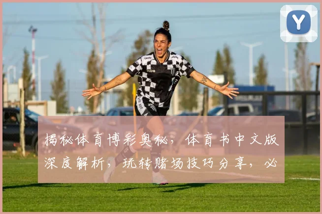 揭秘体育博彩奥秘，体育书中文版深度解析，玩转赌场技巧分享，必看攻略